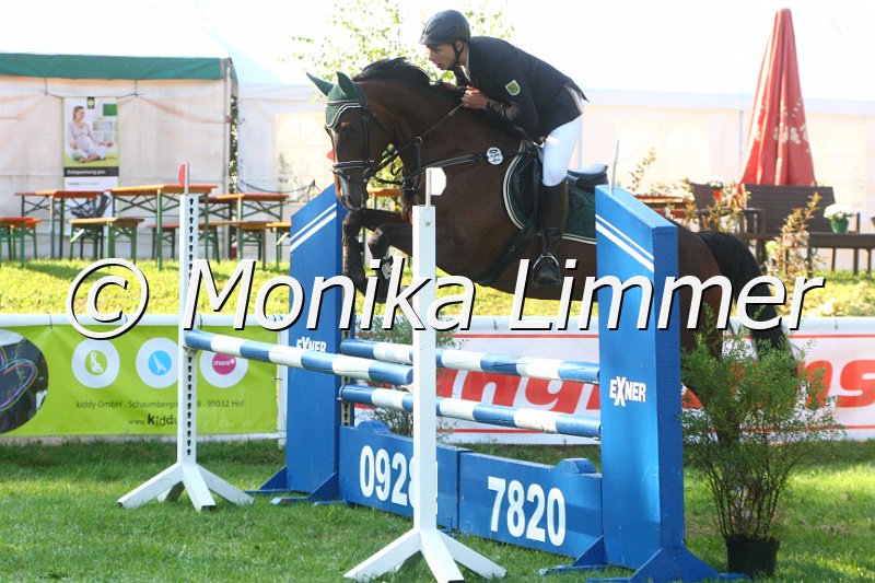 308M9265_Candela_Springpferde A.JPG